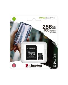 Targeta Memòria SDHC Kingston Classe 10 256GB 