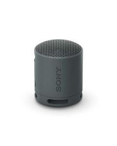 Altaveu portàtil Sony SRS-XB100 Negre
